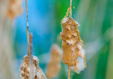 ddos流量攻击购买